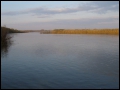 ���, ��� 2004 ����